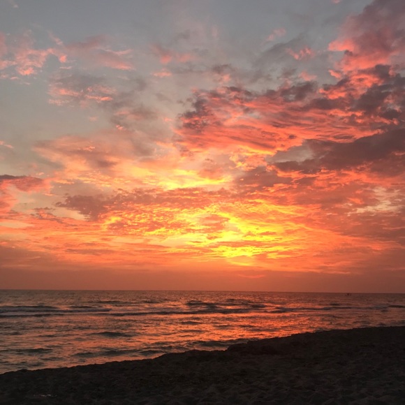 Meet your Posher, Oshen π¦π¬π§ - Picture 11 of 16